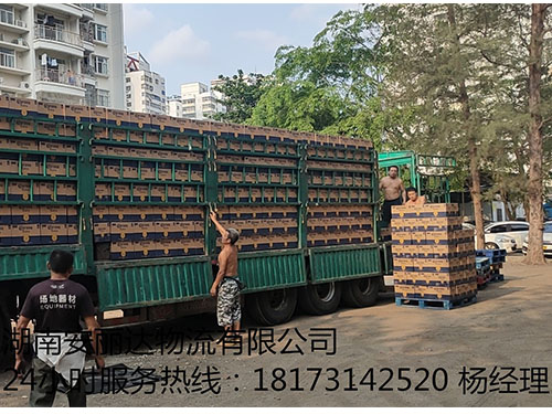 &#21326;&#20307;&#20250;&#20307;&#32946;&#45;&#21326;&#20307;&#20250;&#40;&#20013;&#22269;&#41;